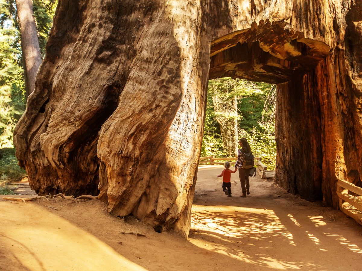 Yosemite